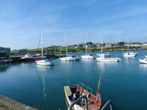 The Clamshell Apartment Isle of Whithorn Exterior photo